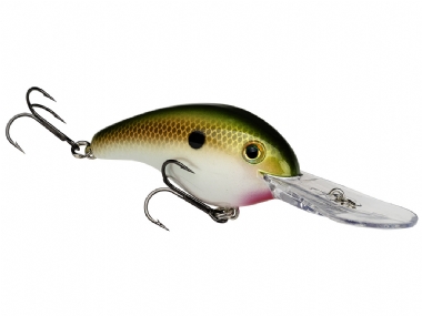TENNESSEE SHAD